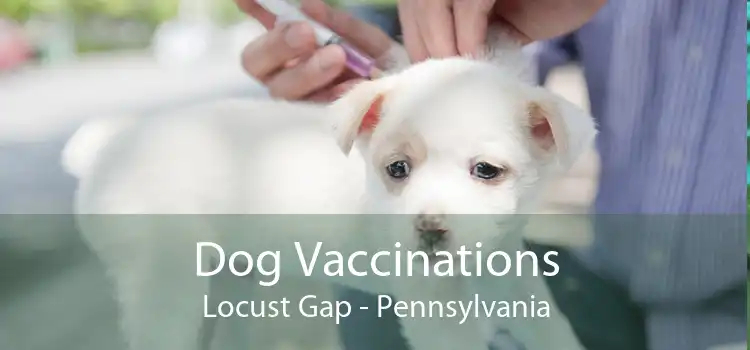 Dog Vaccinations Locust Gap - Pennsylvania