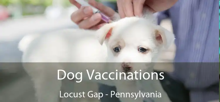 Dog Vaccinations Locust Gap - Pennsylvania
