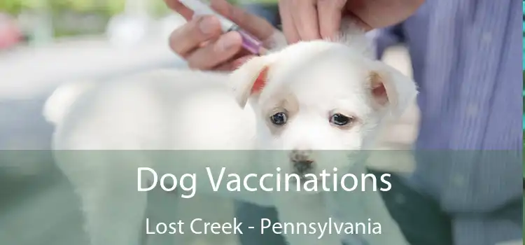 Dog Vaccinations Lost Creek - Pennsylvania