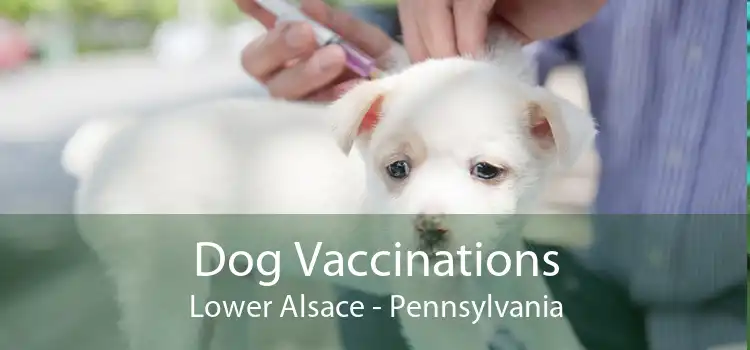 Dog Vaccinations Lower Alsace - Pennsylvania