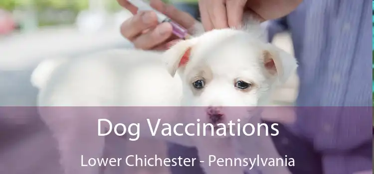 Dog Vaccinations Lower Chichester - Pennsylvania