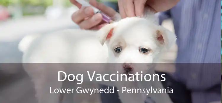 Dog Vaccinations Lower Gwynedd - Pennsylvania
