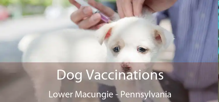 Dog Vaccinations Lower Macungie - Pennsylvania