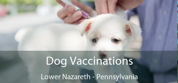 Dog Vaccinations Lower Nazareth - Pennsylvania
