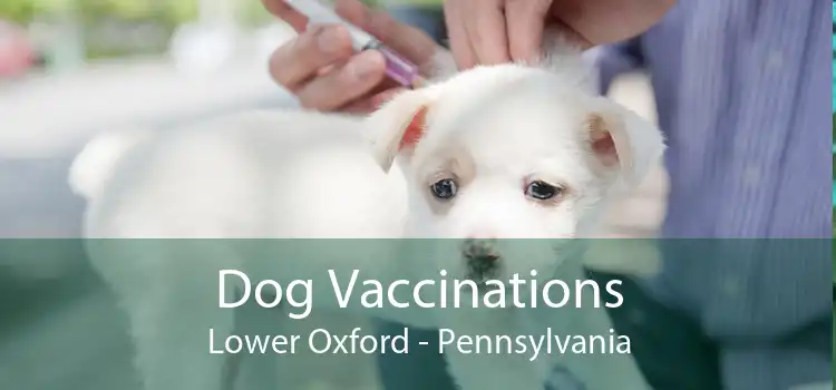 Dog Vaccinations Lower Oxford - Pennsylvania
