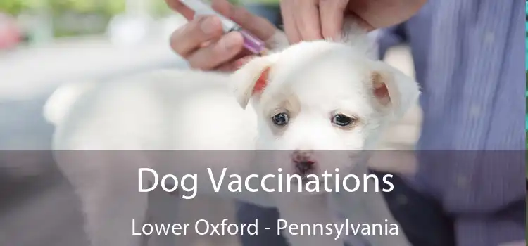 Dog Vaccinations Lower Oxford - Pennsylvania