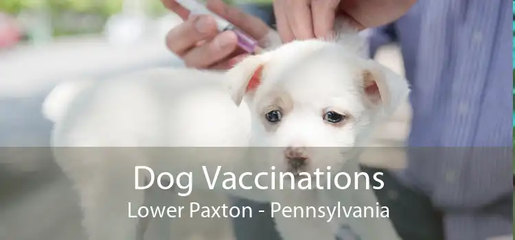 Dog Vaccinations Lower Paxton - Pennsylvania