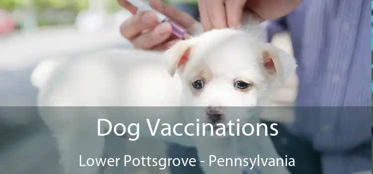 Dog Vaccinations Lower Pottsgrove - Pennsylvania