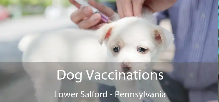 Dog Vaccinations Lower Salford - Pennsylvania