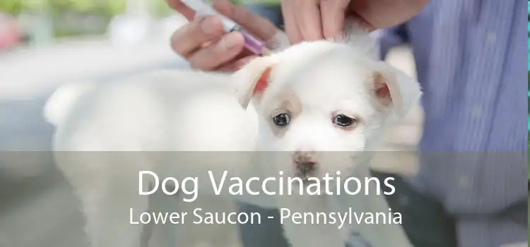 Dog Vaccinations Lower Saucon - Pennsylvania