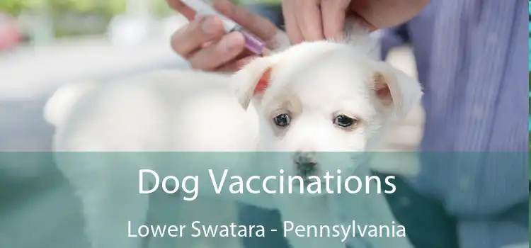Dog Vaccinations Lower Swatara - Pennsylvania