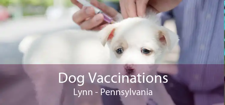 Dog Vaccinations Lynn - Pennsylvania