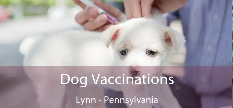 Dog Vaccinations Lynn - Pennsylvania