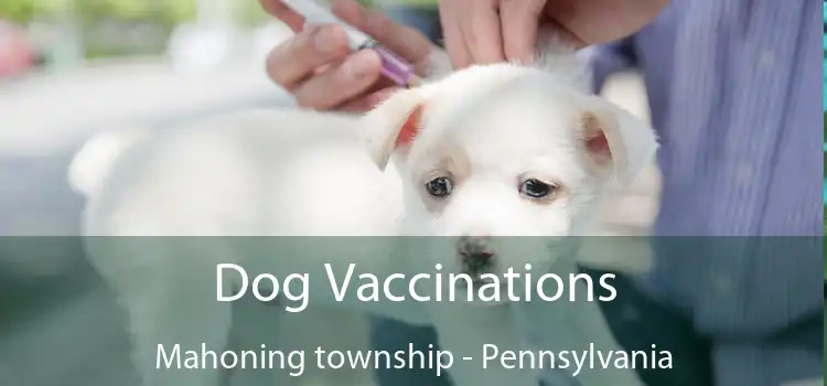Dog Vaccinations Mahoning township - Pennsylvania