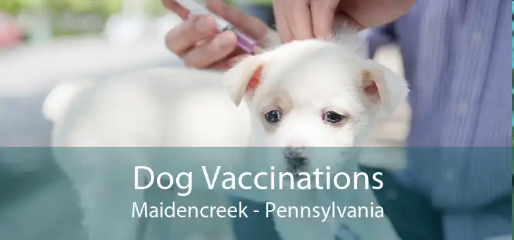 Dog Vaccinations Maidencreek - Pennsylvania