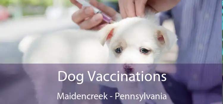 Dog Vaccinations Maidencreek - Pennsylvania
