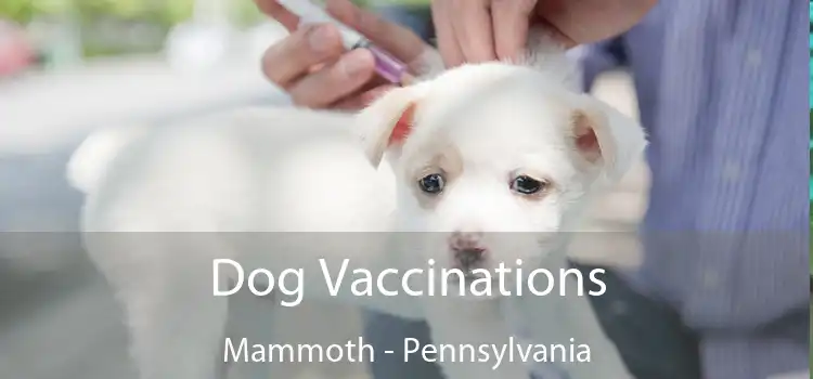 Dog Vaccinations Mammoth - Pennsylvania