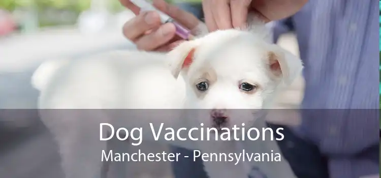 Dog Vaccinations Manchester - Pennsylvania