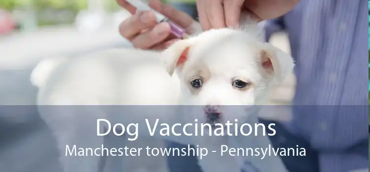 Dog Vaccinations Manchester township - Pennsylvania