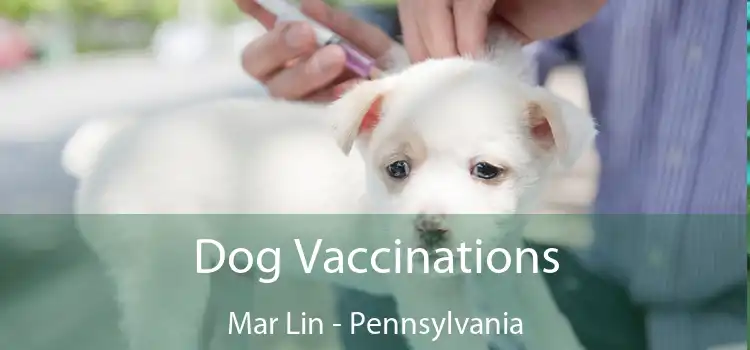 Dog Vaccinations Mar Lin - Pennsylvania