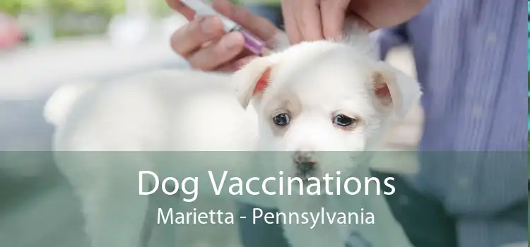 Dog Vaccinations Marietta - Pennsylvania