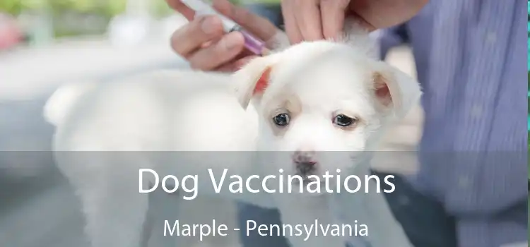 Dog Vaccinations Marple - Pennsylvania