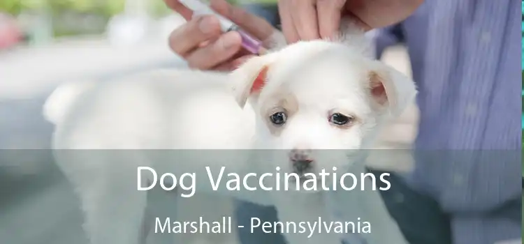 Dog Vaccinations Marshall - Pennsylvania