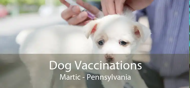Dog Vaccinations Martic - Pennsylvania