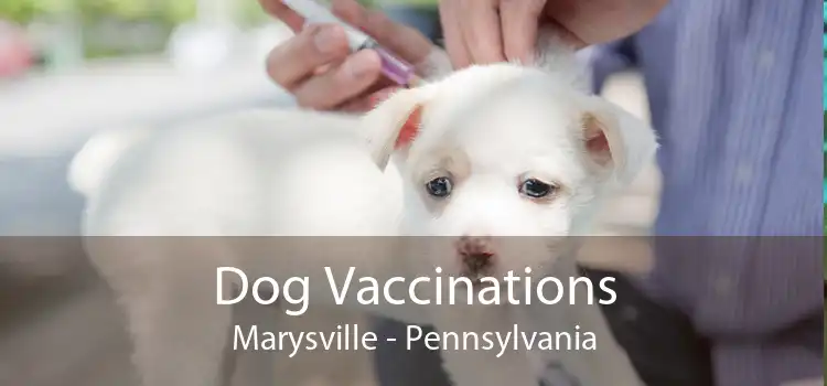 Dog Vaccinations Marysville - Pennsylvania