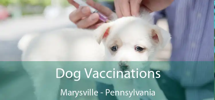 Dog Vaccinations Marysville - Pennsylvania