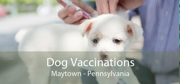 Dog Vaccinations Maytown - Pennsylvania