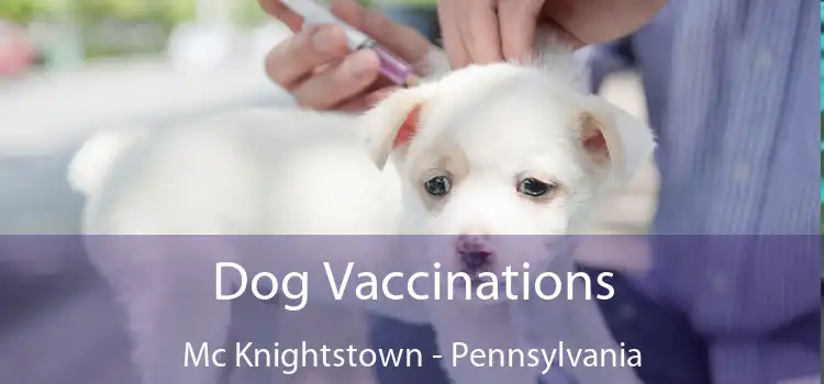 Dog Vaccinations Mc Knightstown - Pennsylvania