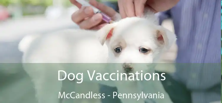 Dog Vaccinations McCandless - Pennsylvania