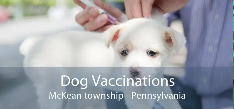 Dog Vaccinations McKean township - Pennsylvania