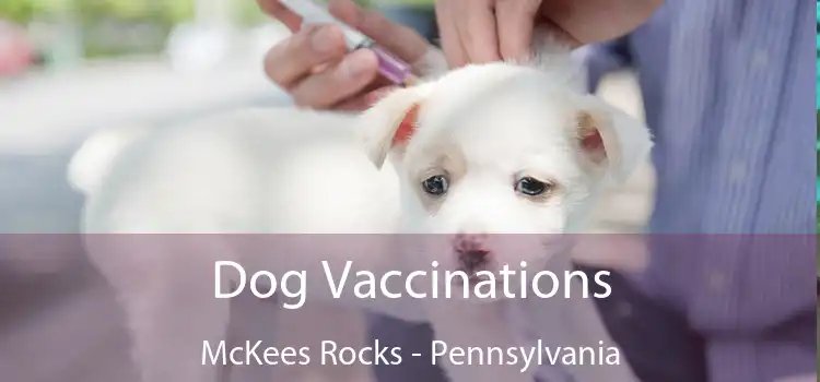 Dog Vaccinations McKees Rocks - Pennsylvania