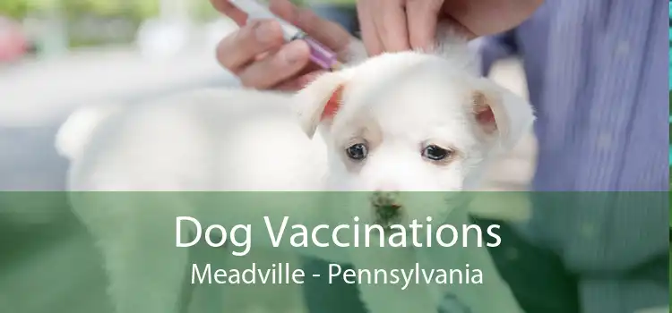 Dog Vaccinations Meadville - Pennsylvania