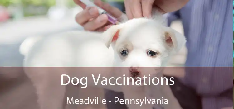 Dog Vaccinations Meadville - Pennsylvania