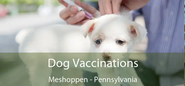 Dog Vaccinations Meshoppen - Pennsylvania