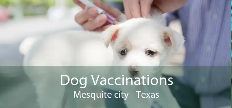 Dog Vaccinations Mesquite city - Texas