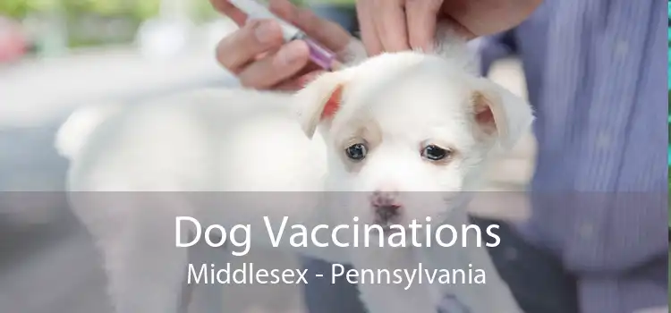 Dog Vaccinations Middlesex - Pennsylvania