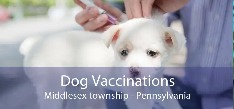Dog Vaccinations Middlesex township - Pennsylvania
