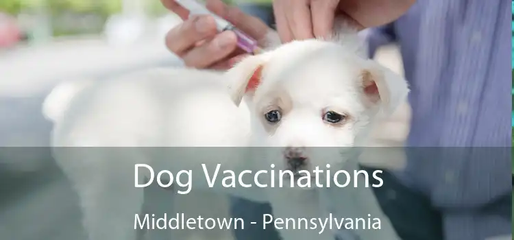 Dog Vaccinations Middletown - Pennsylvania