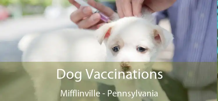 Dog Vaccinations Mifflinville - Pennsylvania