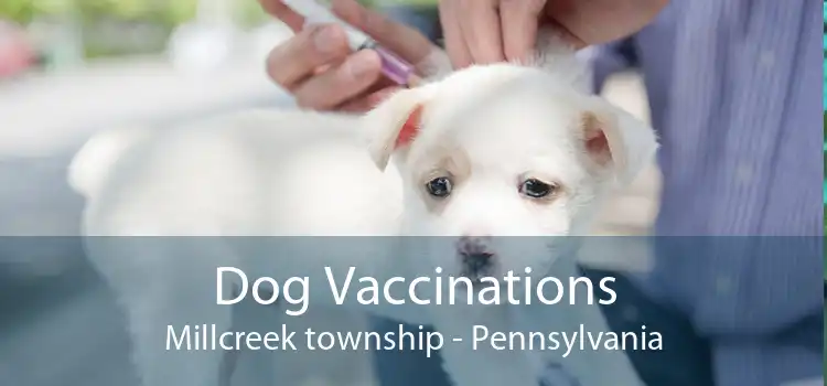 Dog Vaccinations Millcreek township - Pennsylvania