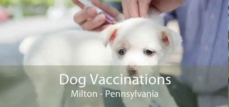 Dog Vaccinations Milton - Pennsylvania