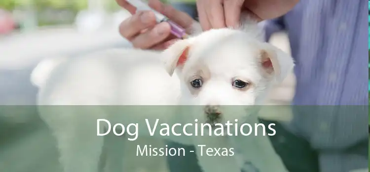 Dog Vaccinations Mission - Texas