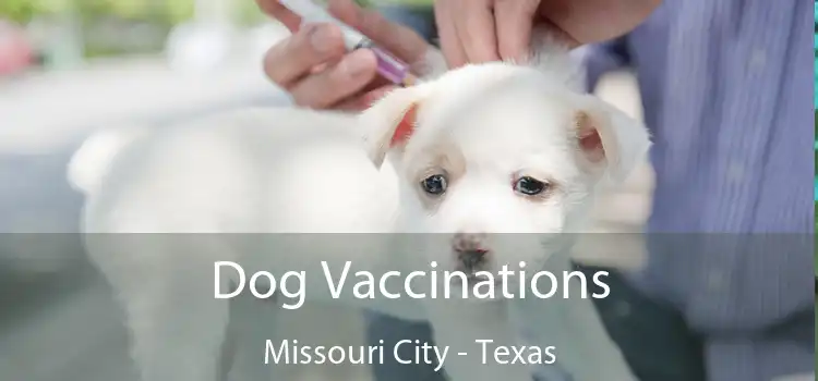 Dog Vaccinations Missouri City - Texas