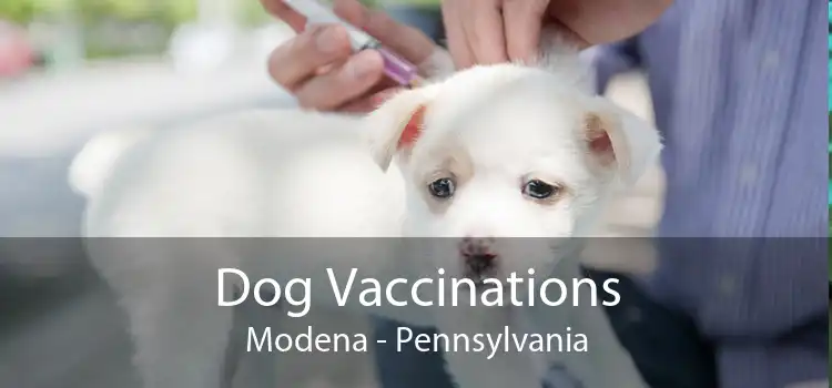 Dog Vaccinations Modena - Pennsylvania