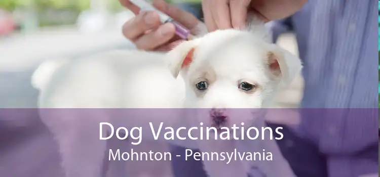 Dog Vaccinations Mohnton - Pennsylvania