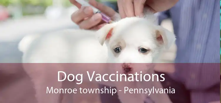Dog Vaccinations Monroe township - Pennsylvania